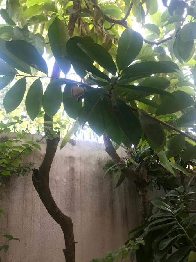 Apartmán Casa De Ferias Sao Tome Exteriér fotografie