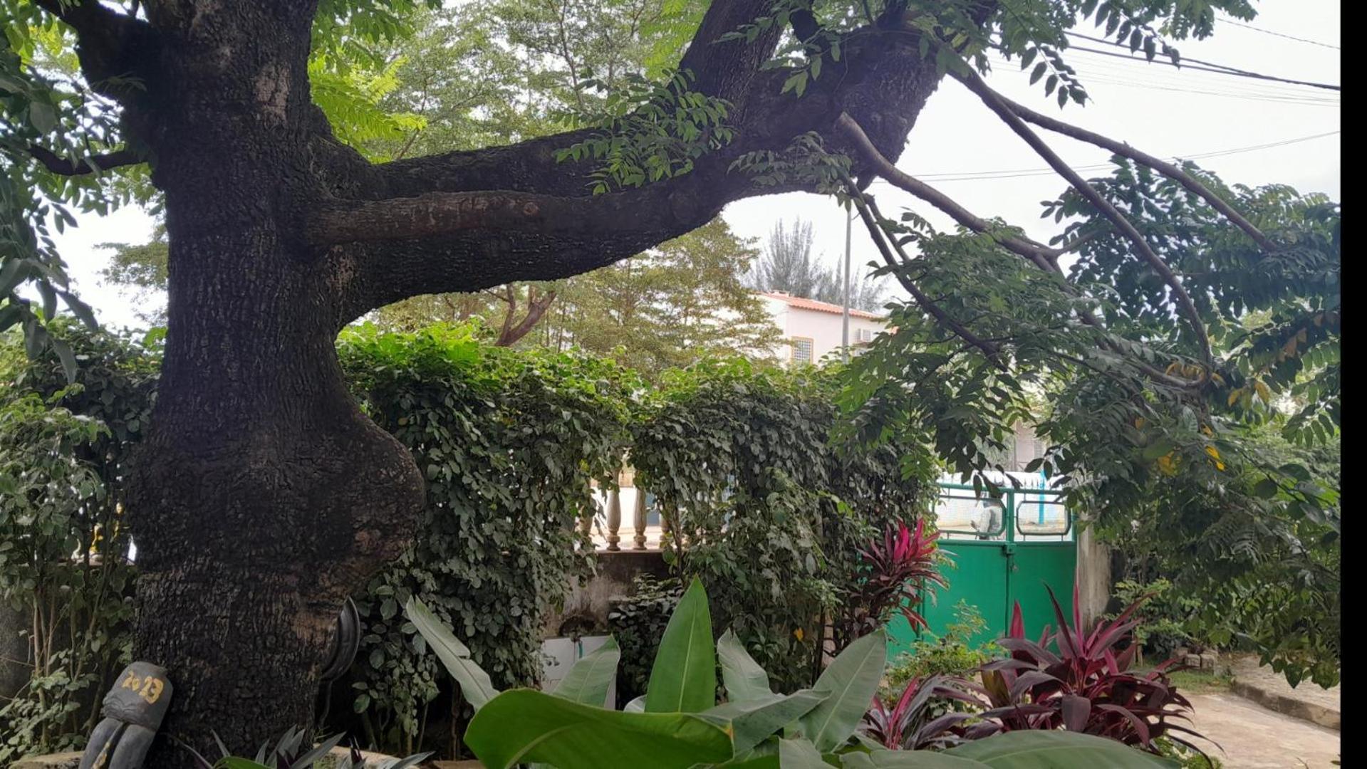 Apartmán Casa De Ferias Sao Tome Exteriér fotografie