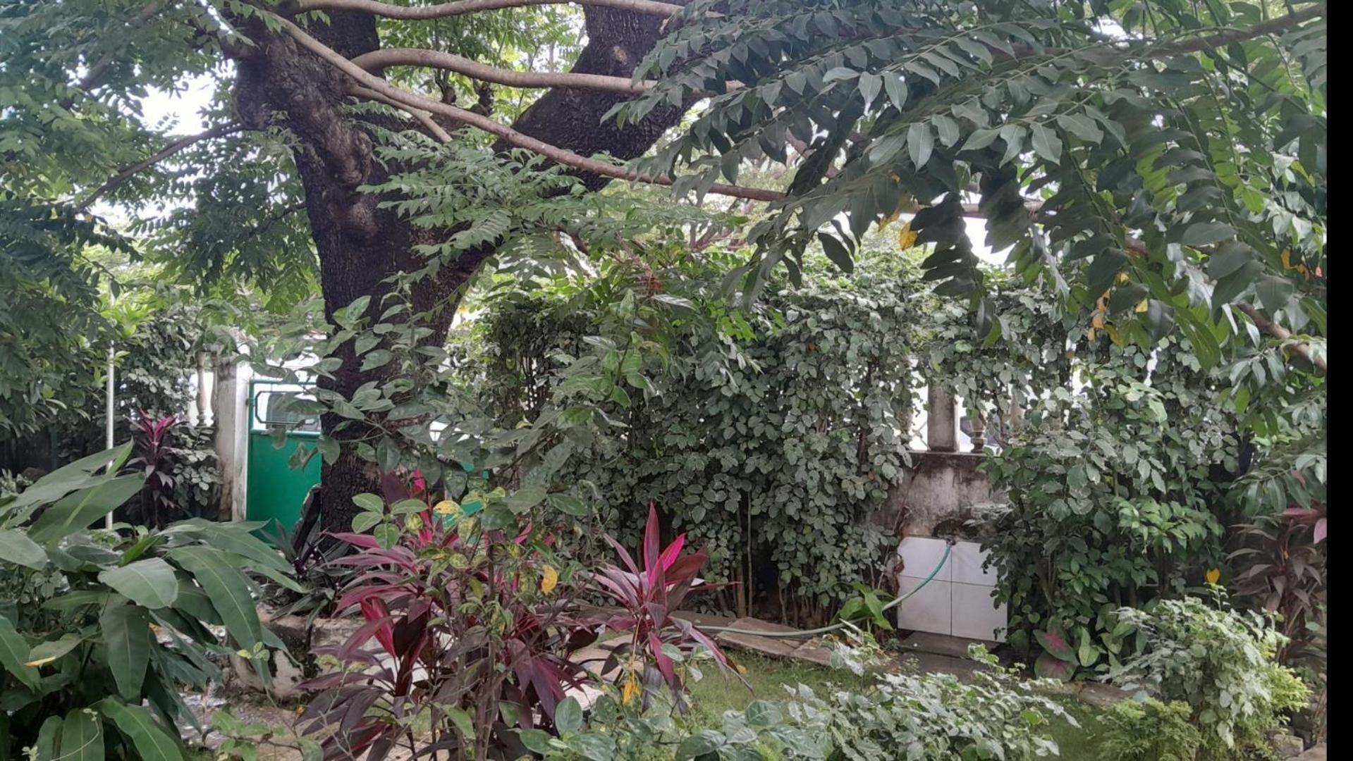 Apartmán Casa De Ferias Sao Tome Exteriér fotografie