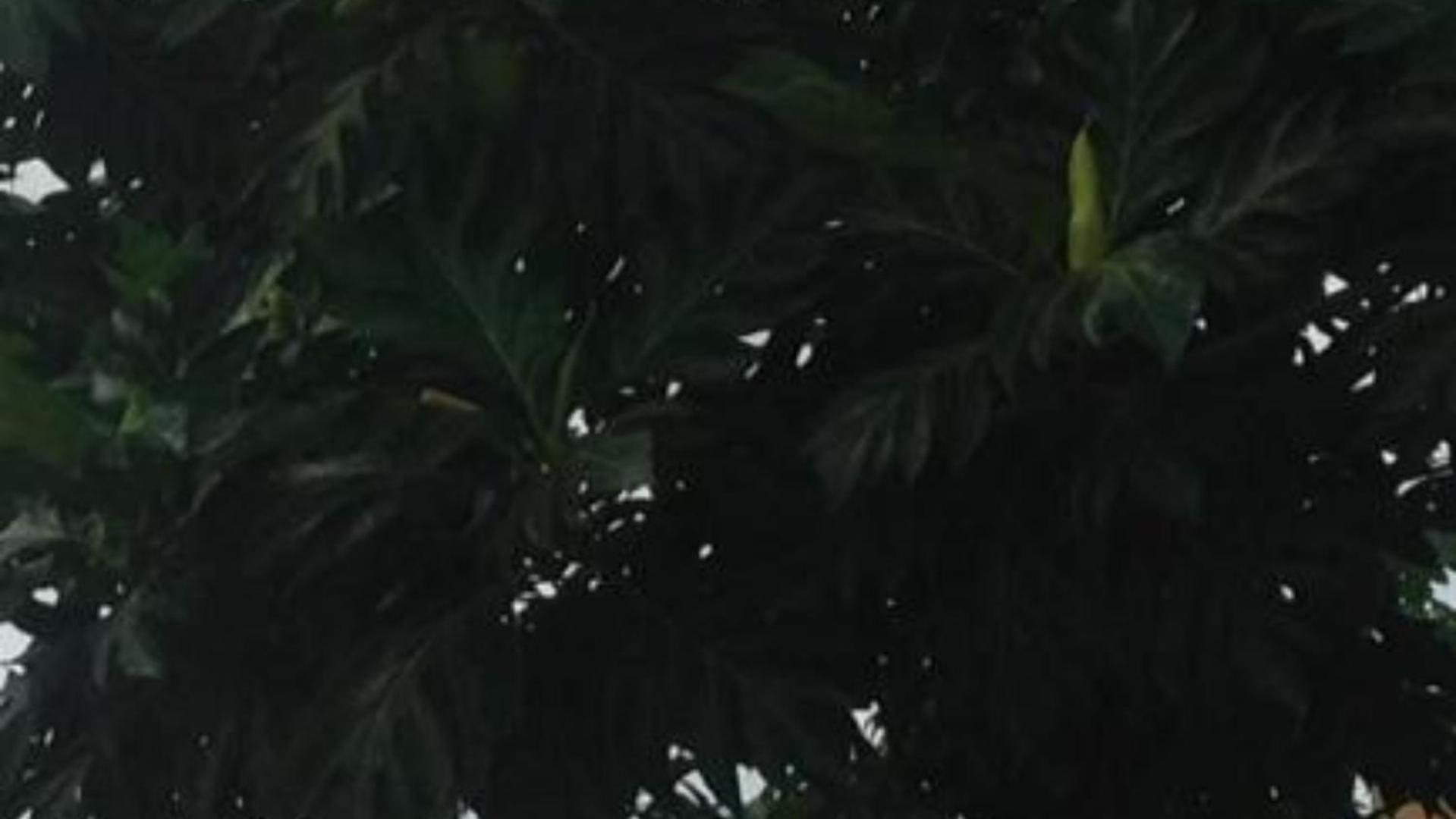 Apartmán Casa De Ferias Sao Tome Exteriér fotografie
